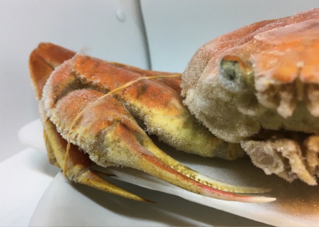 ズワイガニ2
