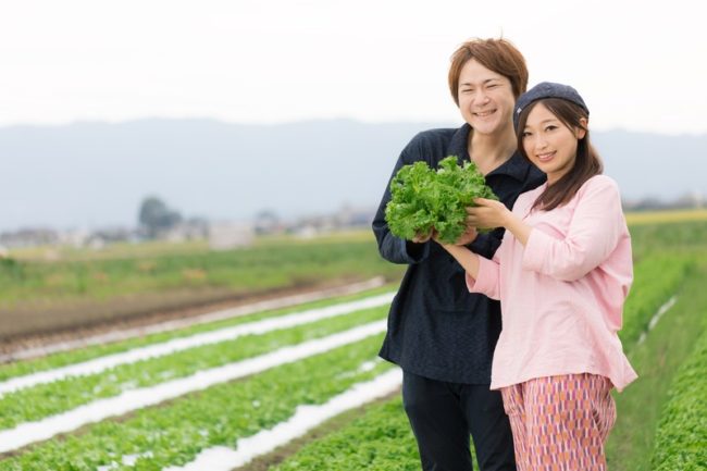 野菜と家族