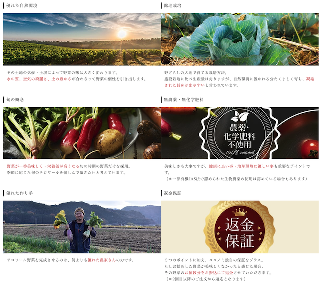 ココノミのテロワール野菜