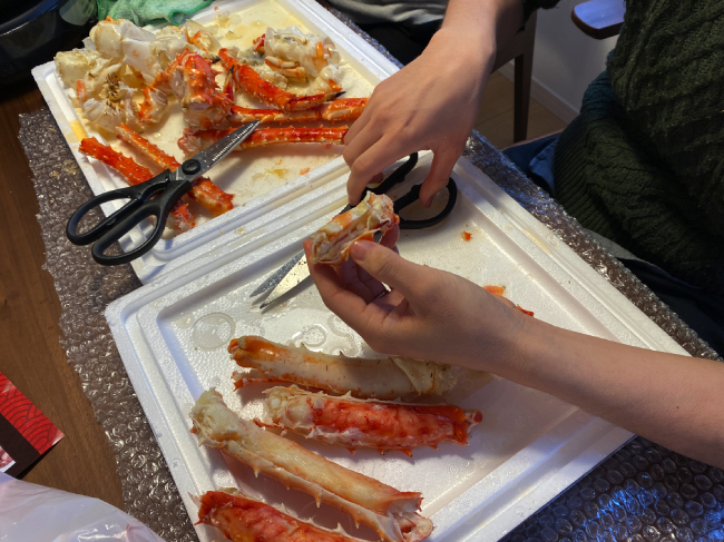 タラバガニをハサミで解体