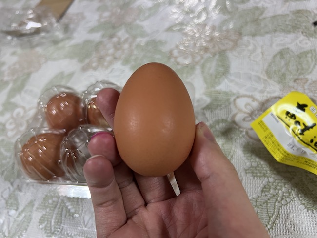 ISETAN DOORの卵を手に持ってみた